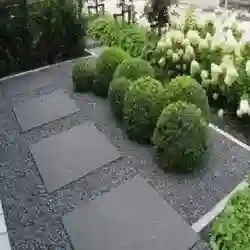 المصممة وديان 