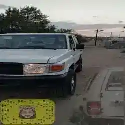 مخ كربان