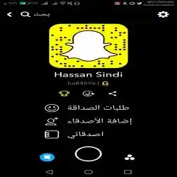 حسن سندي 