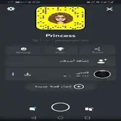 Princess