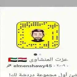 عزت المنشاوى 