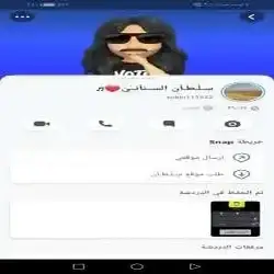 سلطان السناني