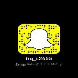 طارق شراحيلي 