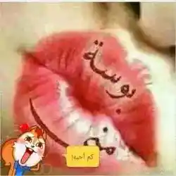 S000s222