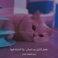 سالم