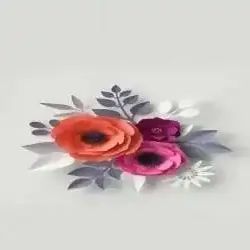 عمانية