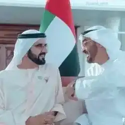 saif alkindi