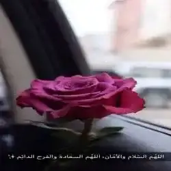 لانا