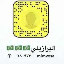 البرزايلي