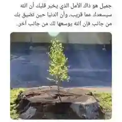 محمد 