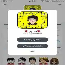 فيصل 