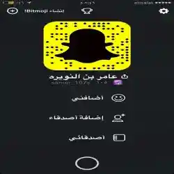 عامر
