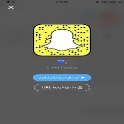 الشاب صقر 