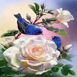 حازم