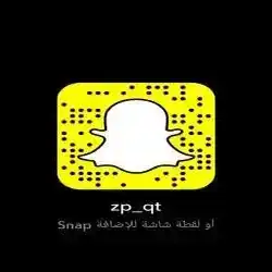 zp_qt