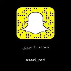محمد عسيري