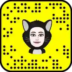 Cats Bedor