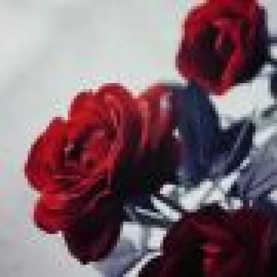 فاطمه