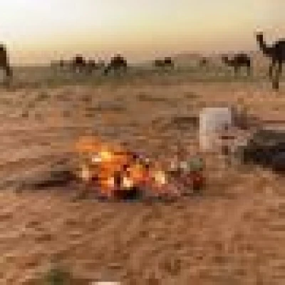 الشقاوي
