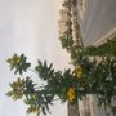 صدوق المشاعر