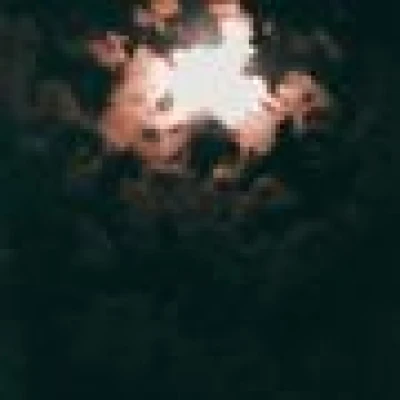 Moh