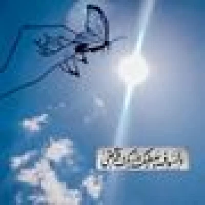 كوين