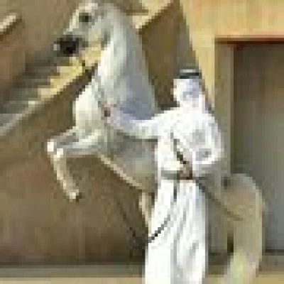 حجازي أصيل 