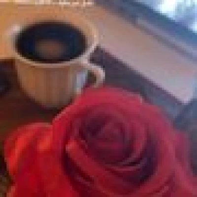 ظل الياسمين
